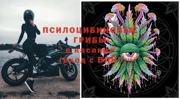 стафф Зеленокумск