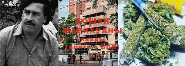 ПСИЛОЦИБИНОВЫЕ ГРИБЫ Инсар
