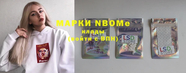 ПСИЛОЦИБИНОВЫЕ ГРИБЫ Инсар