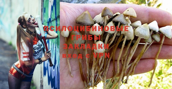 ПСИЛОЦИБИНОВЫЕ ГРИБЫ Инсар