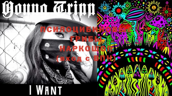 стафф Зеленокумск