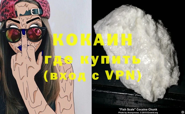 стафф Зеленокумск