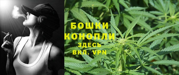 стафф Зеленокумск