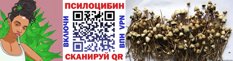 площадка клад закладка Семикаракорск Псилоцибиновые грибы Magic Shrooms